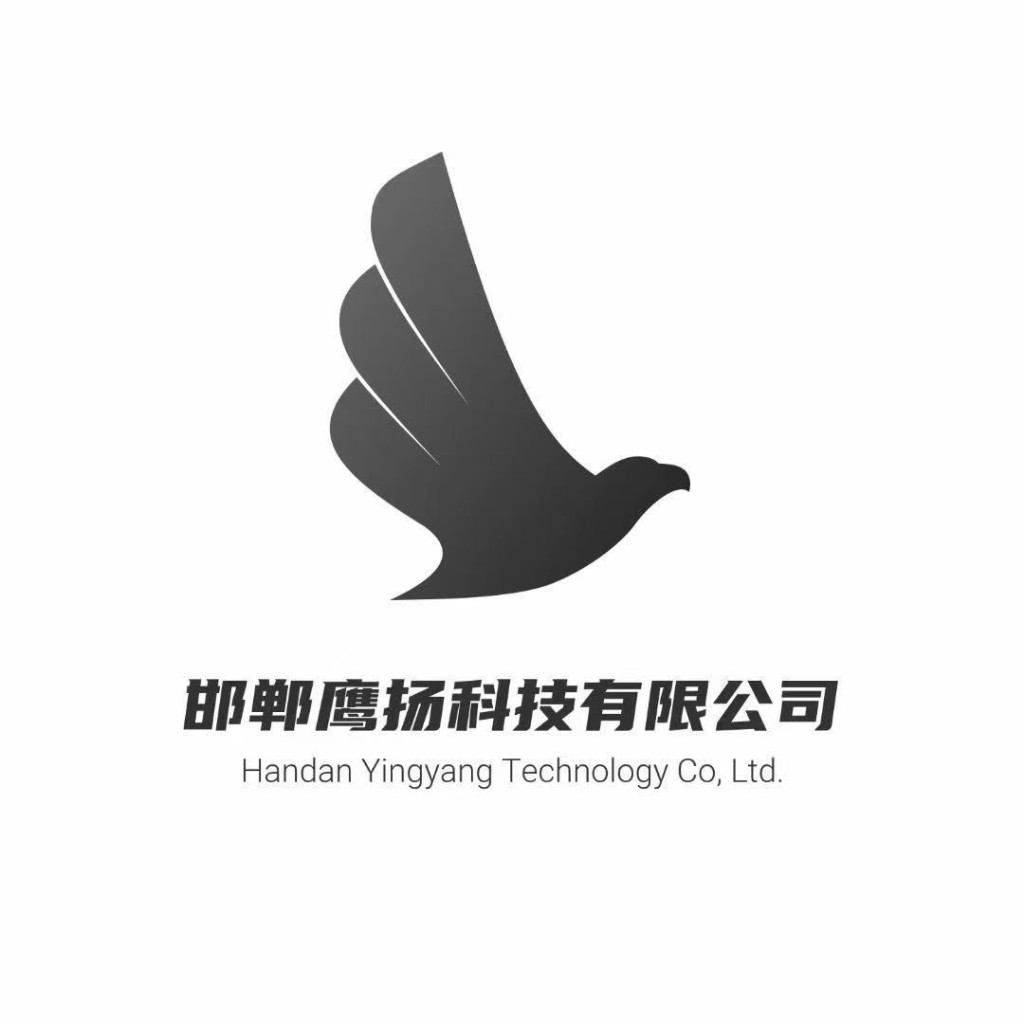 鹰扬科技 LOGO